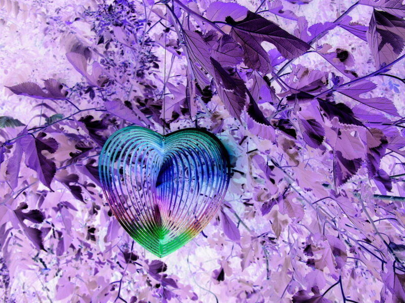 heart-shaped wind chime in purple leaves