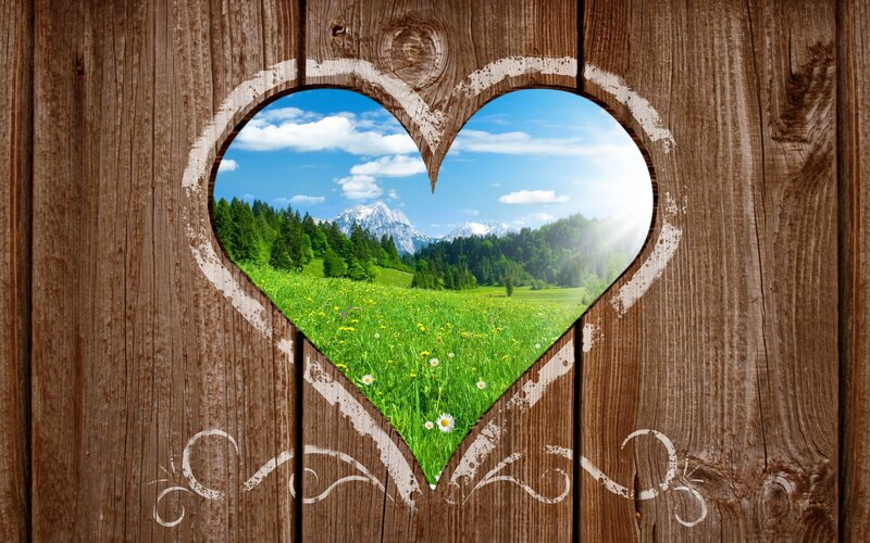 Heart-shaped Window View — Brown, Serene, Afternoon