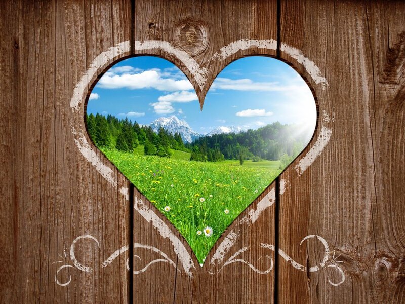 Heart-shaped Window View — Brown, Serene