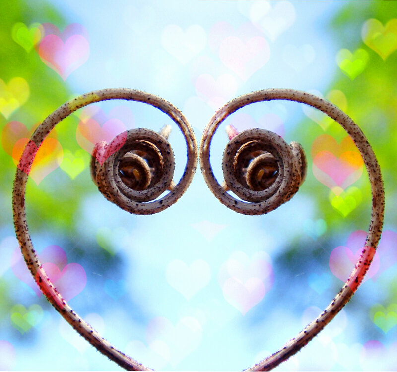 heart-shaped wire sculpture
