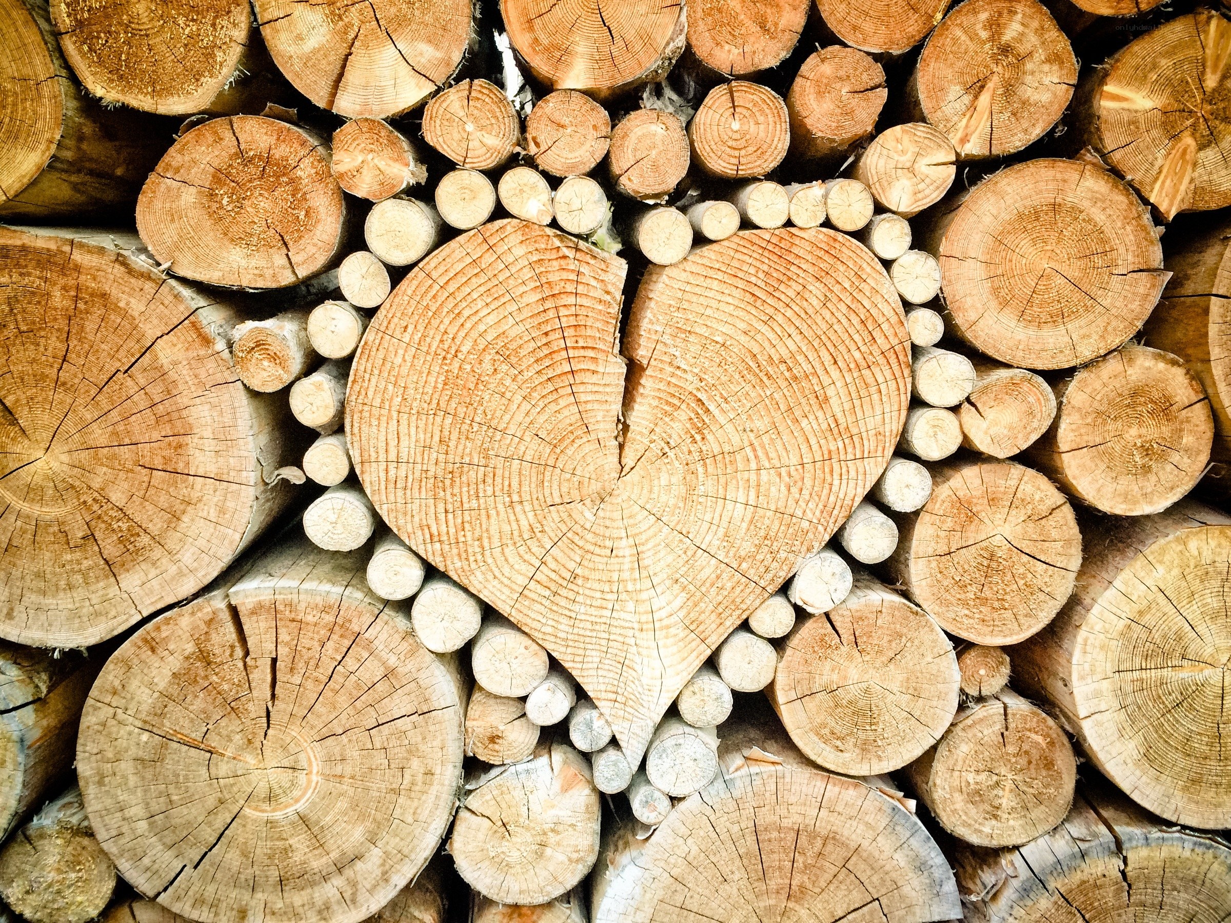 heart-shaped wood logs
