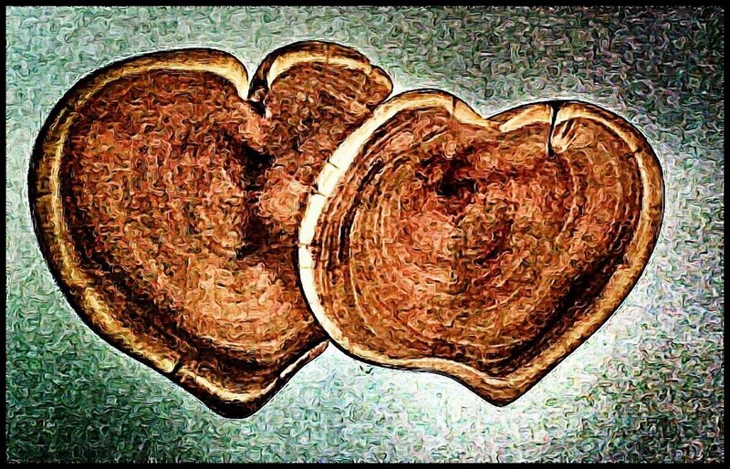 Heart-shaped Wood Slices