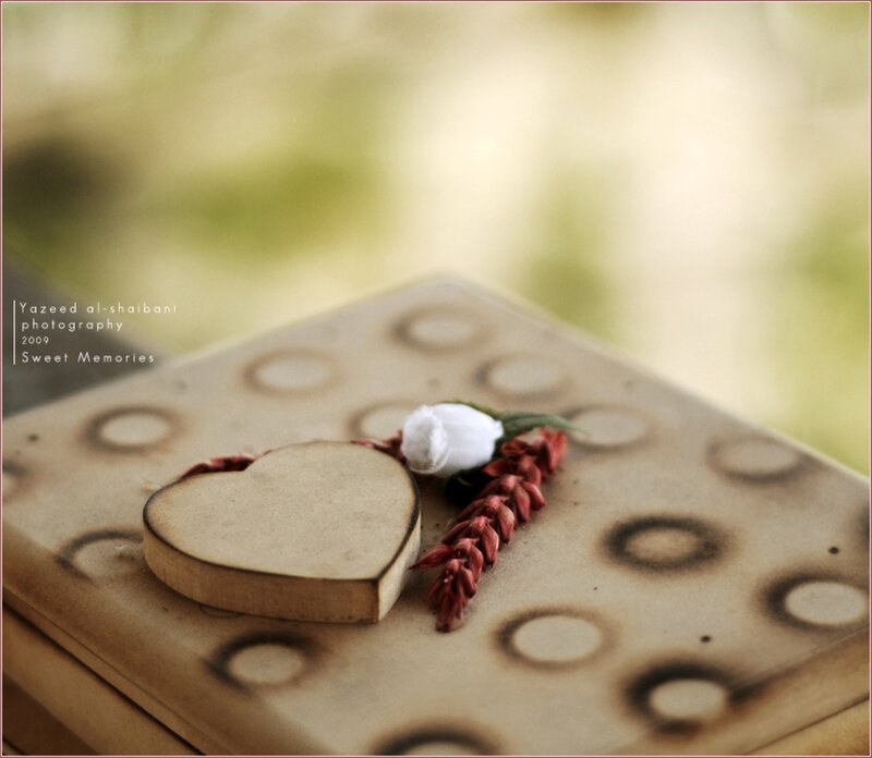 Heart-shaped Wooden Tag