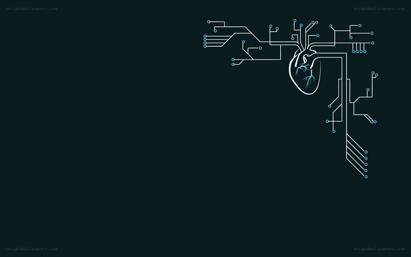 heart with circuit board design