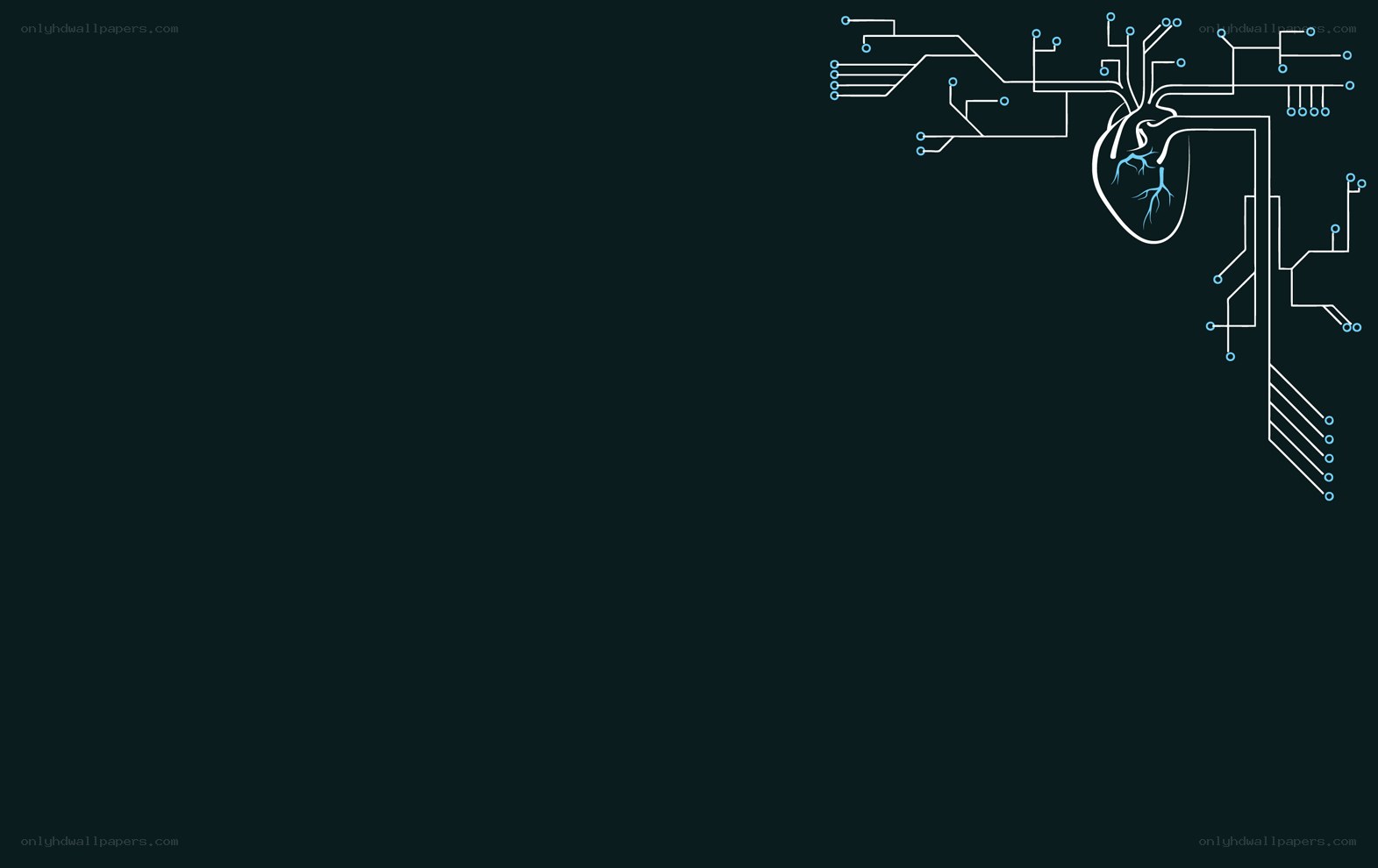 heart with circuit design