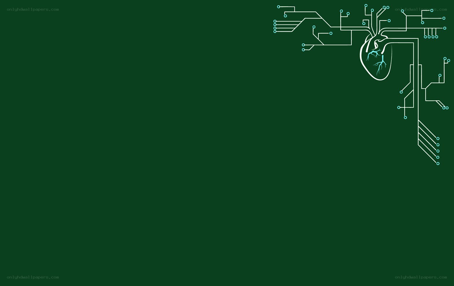 heart with circuit design