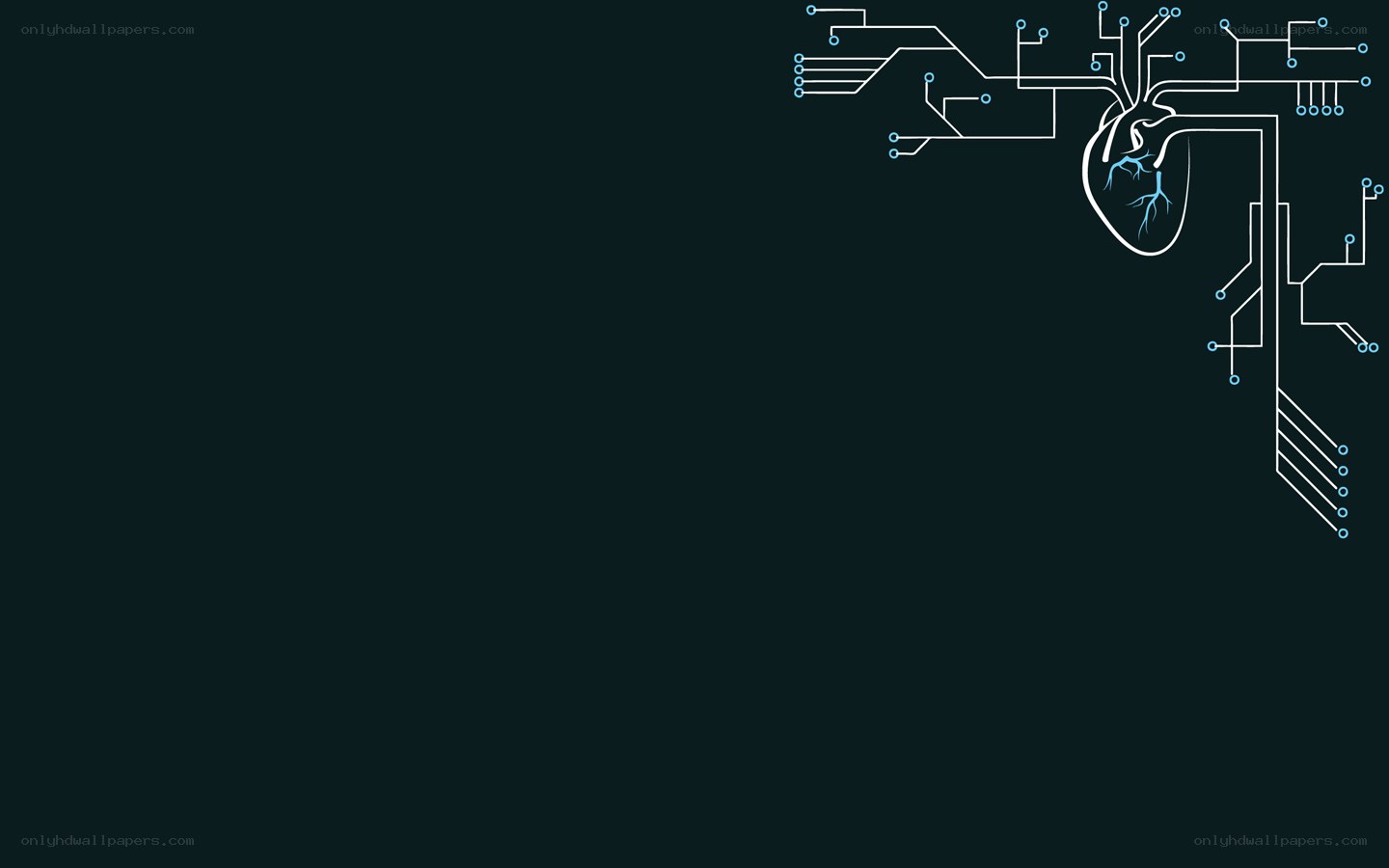 heart with circuit design