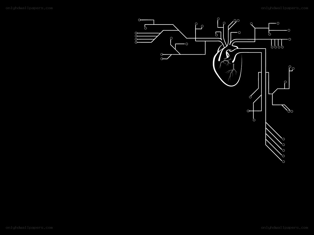 heart with circuitry design