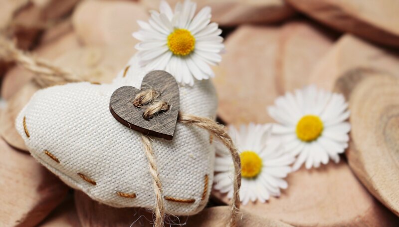 heart with daisies and wood