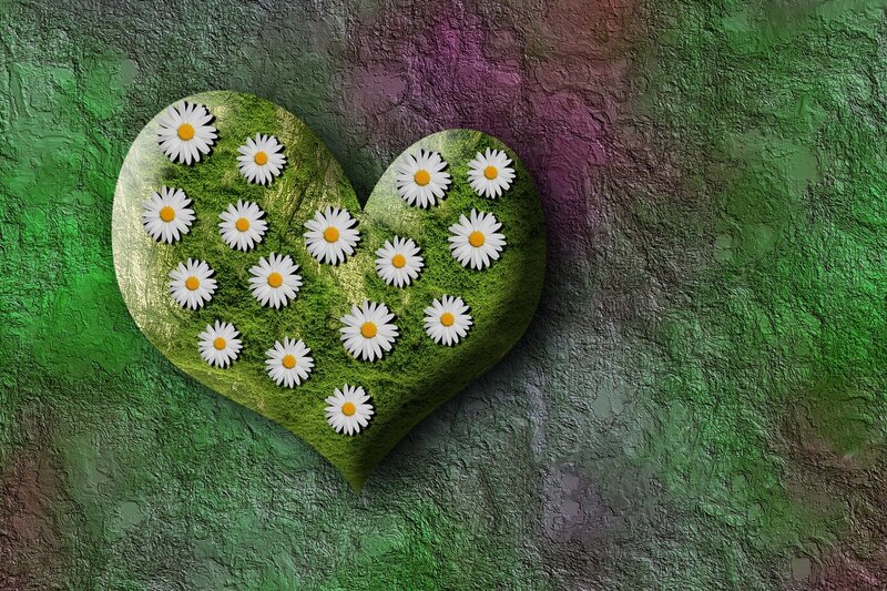 Heart with Daisies