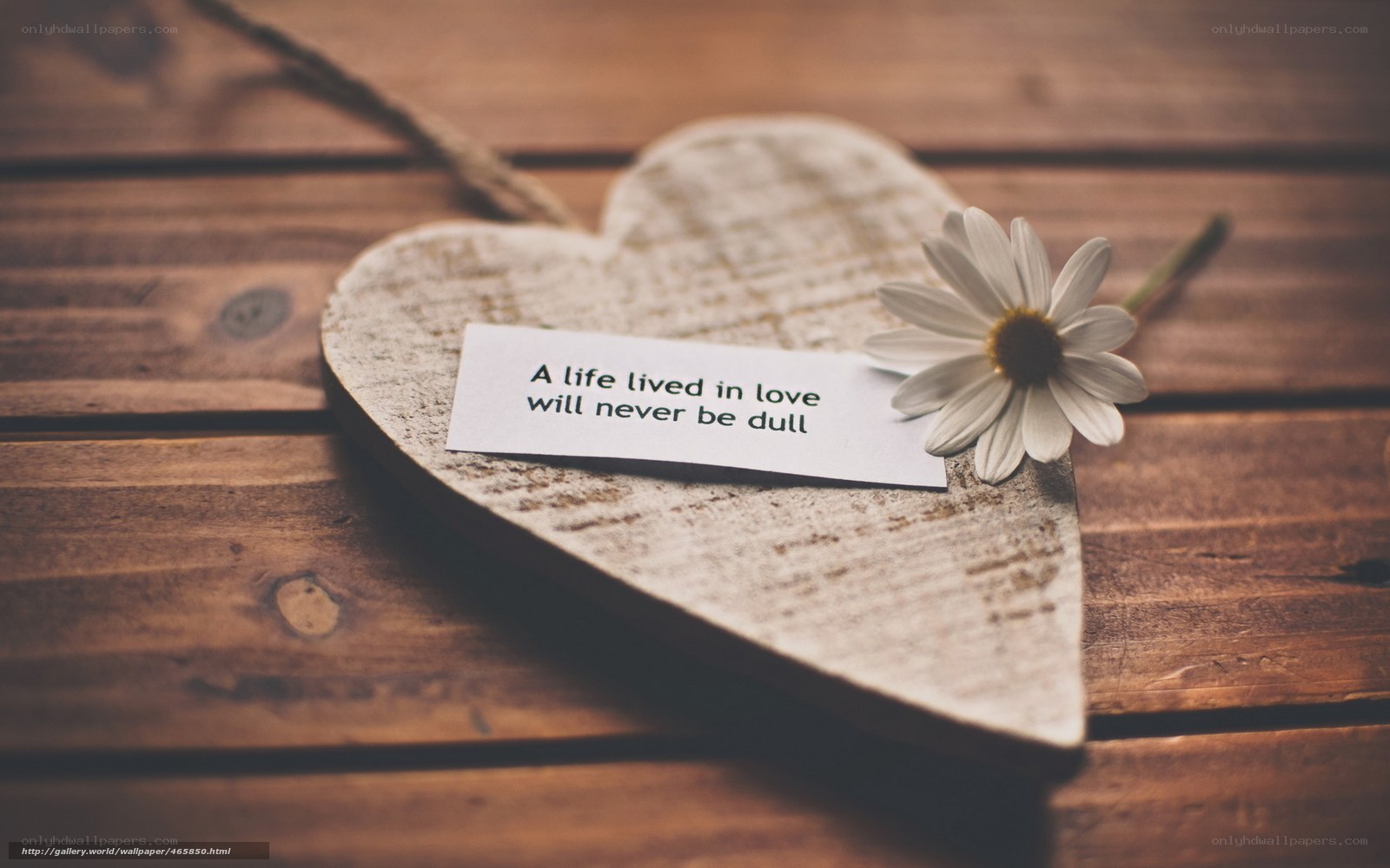 heart with daisy and quote