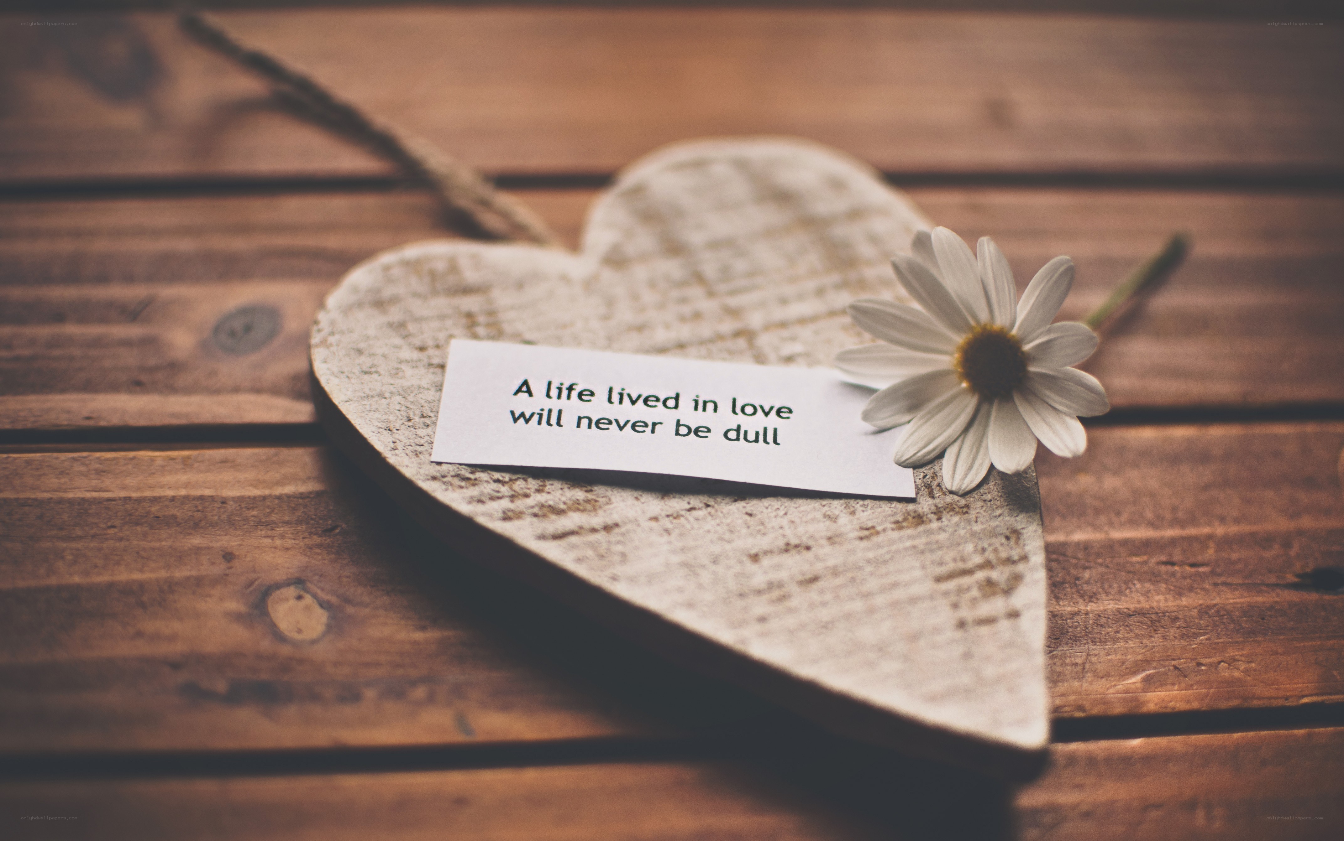 heart with flower and quote