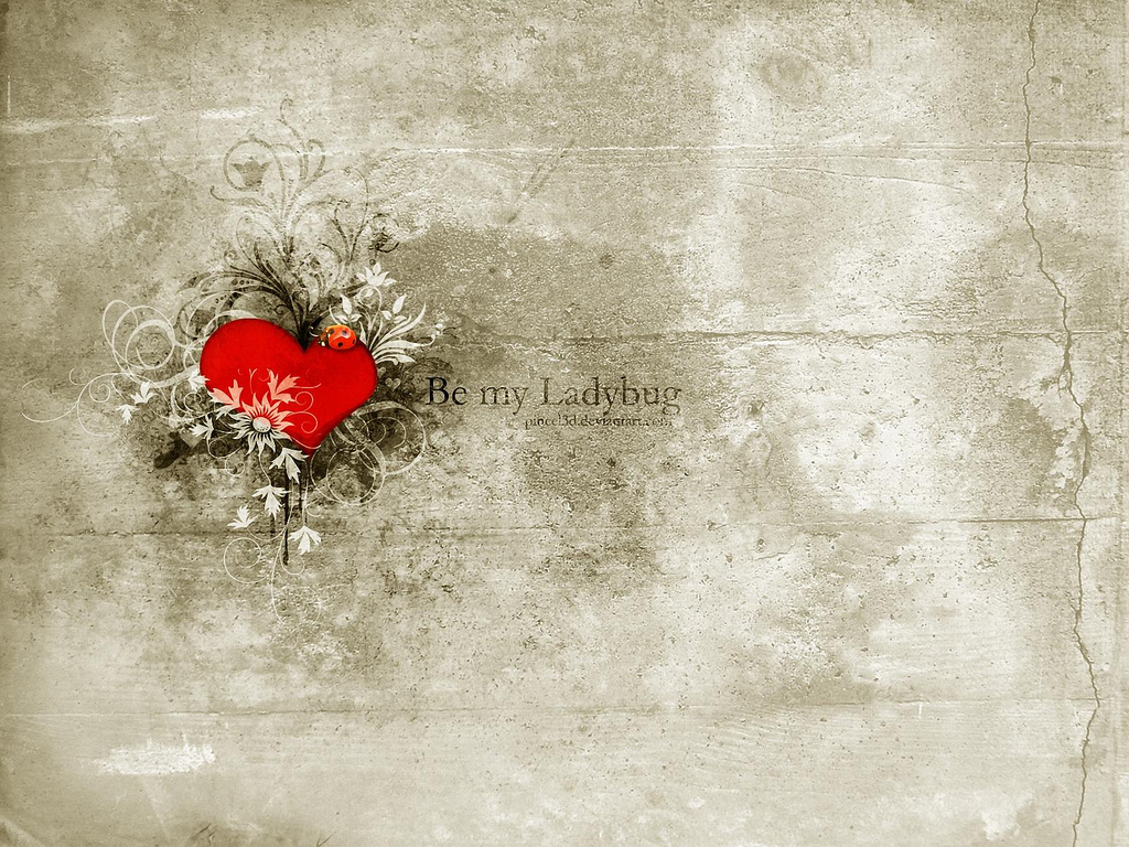 heart with ladybug design