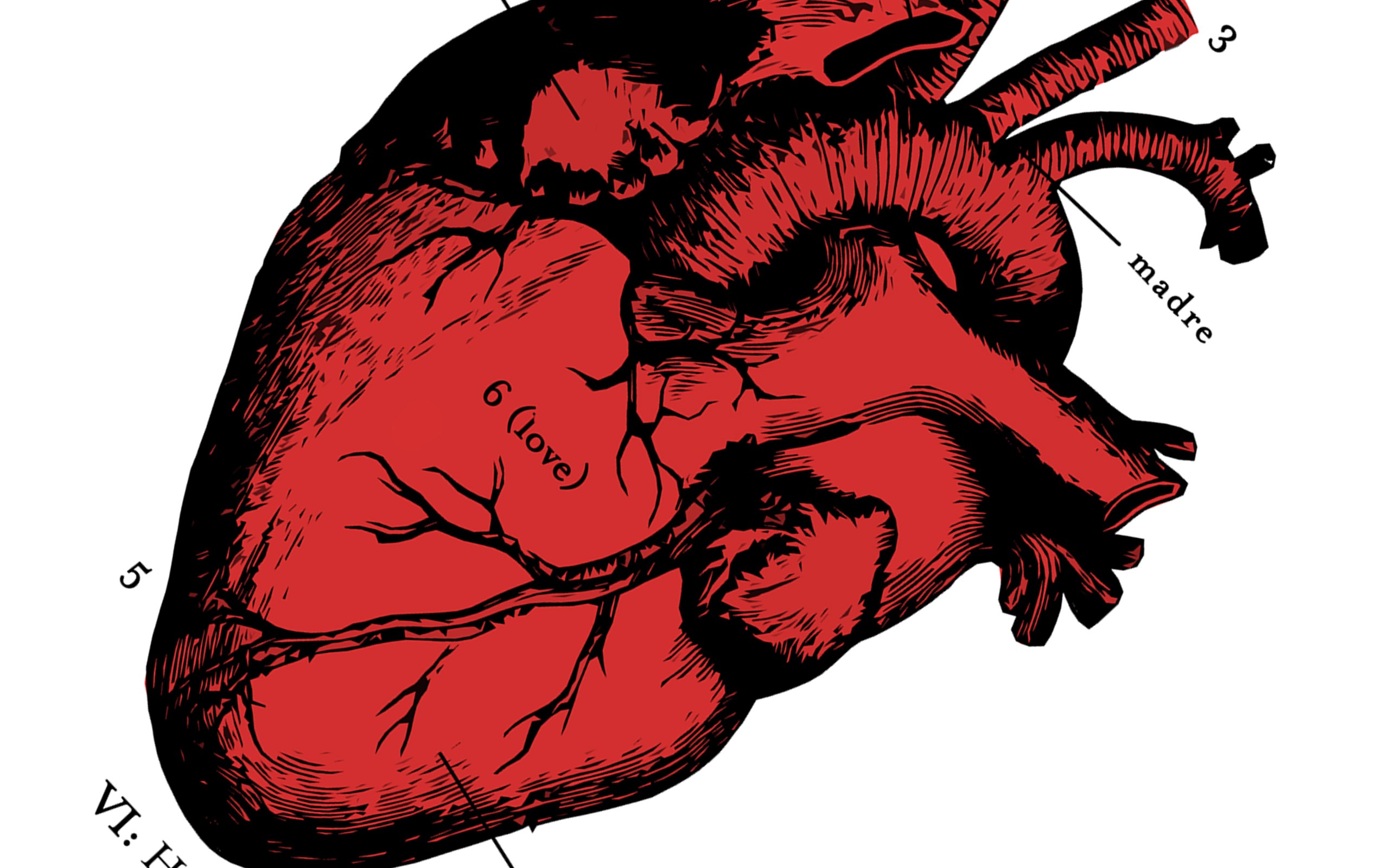 heart with symbolic labels