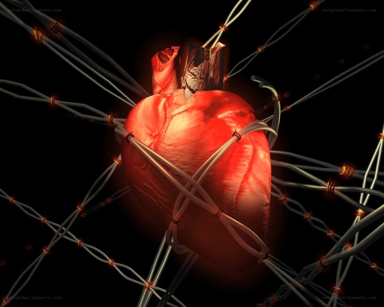Heart with wires and barbed wire