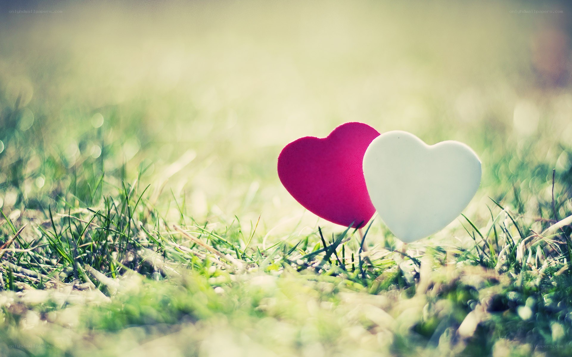 hearts in the grass