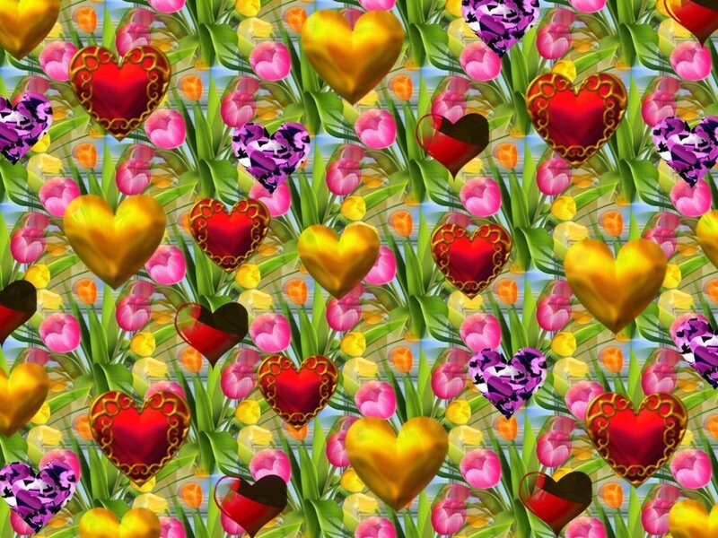 Hearts in Tulip Field