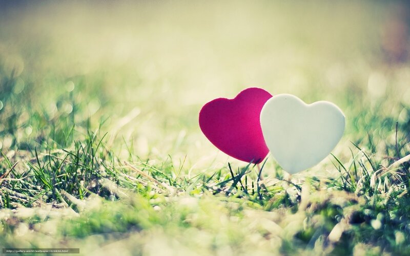 hearts on grass