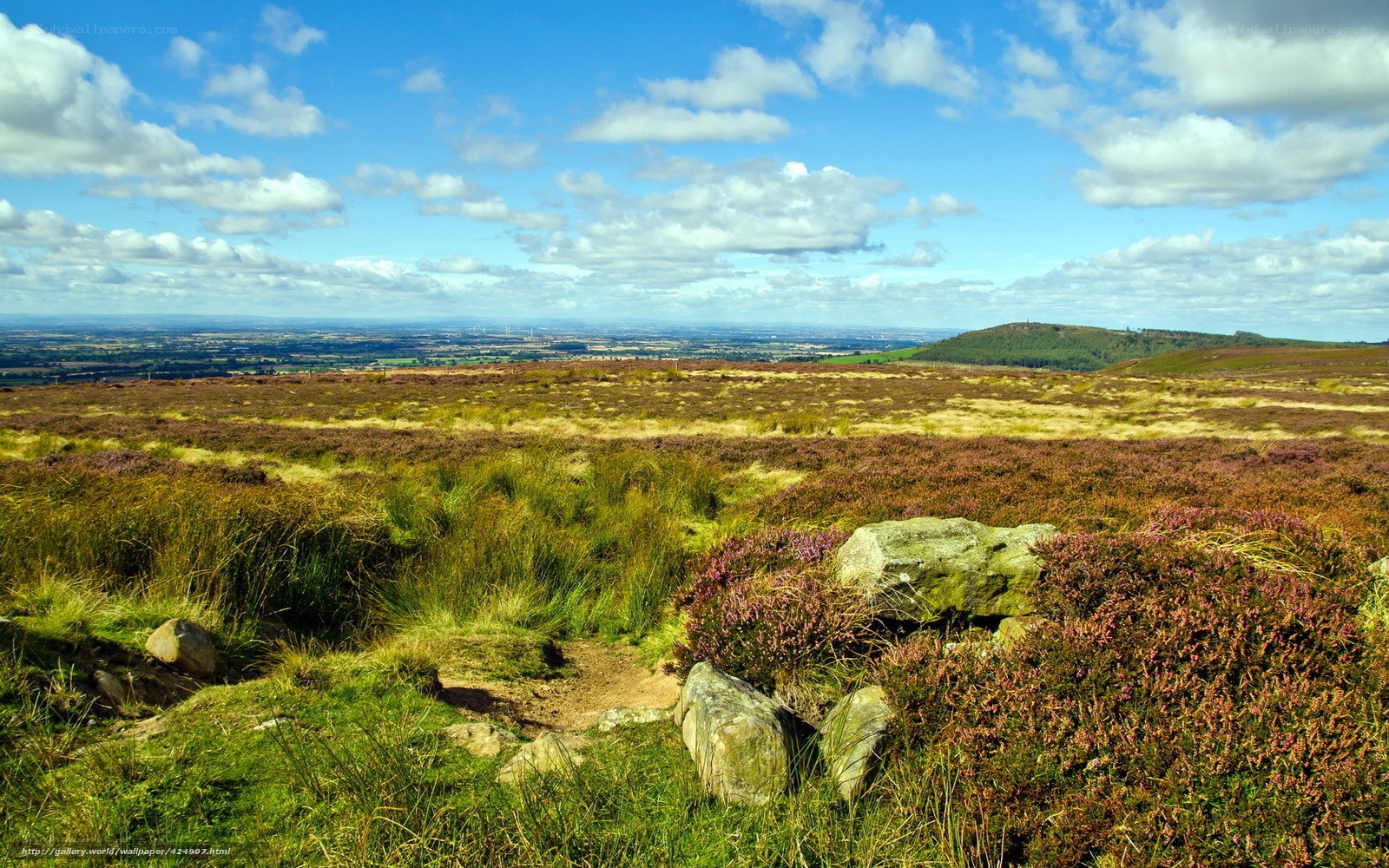 heather-covered moorland landscape