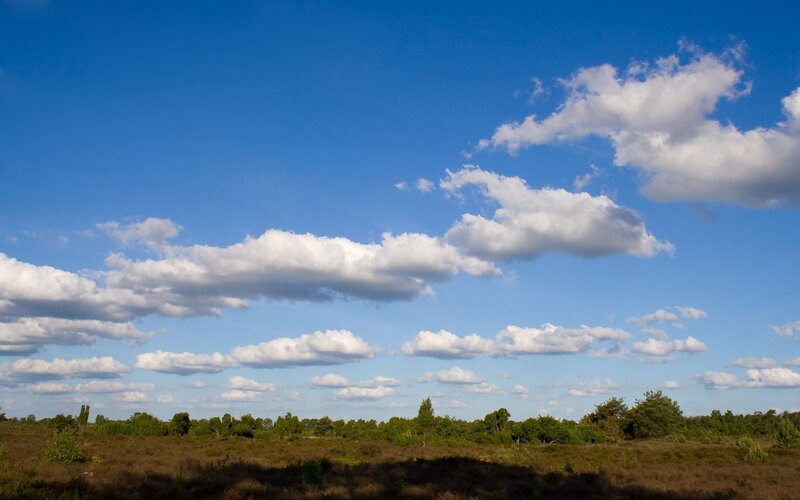 Heathland under Blue Sky