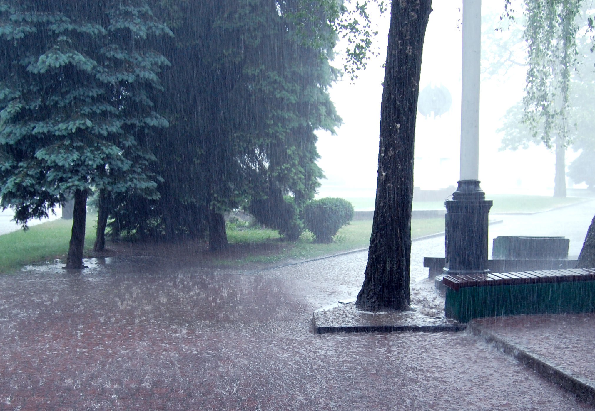 Heavy rain in a park