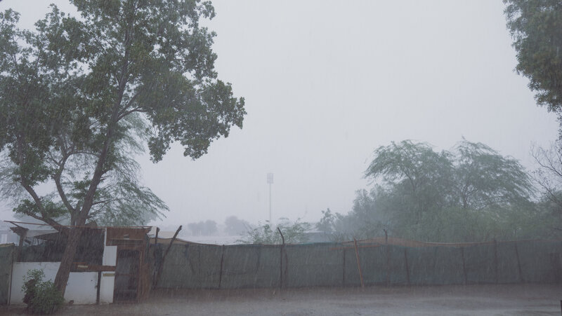 Heavy Rain in Yard