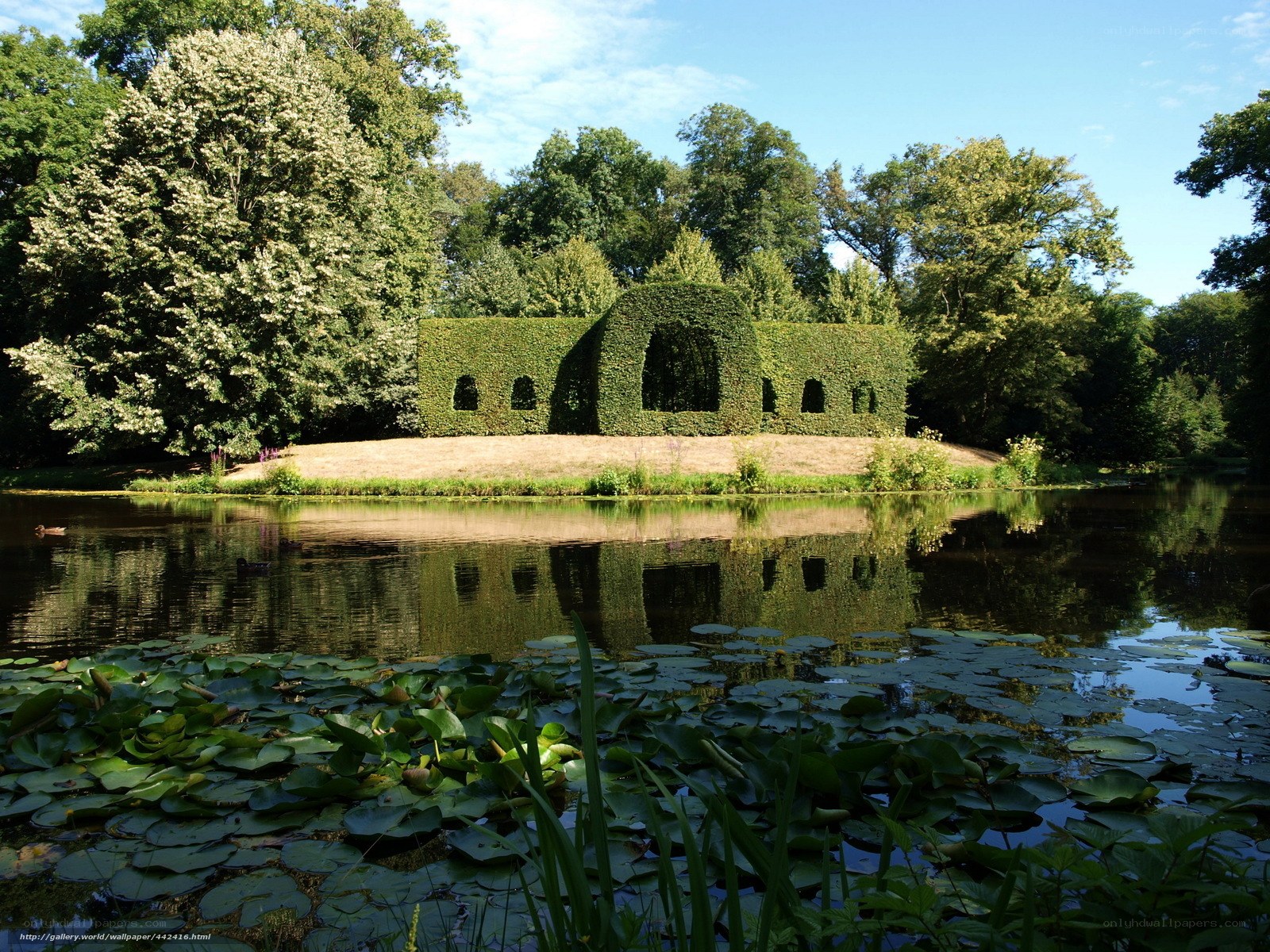 Hedge maze by a pond