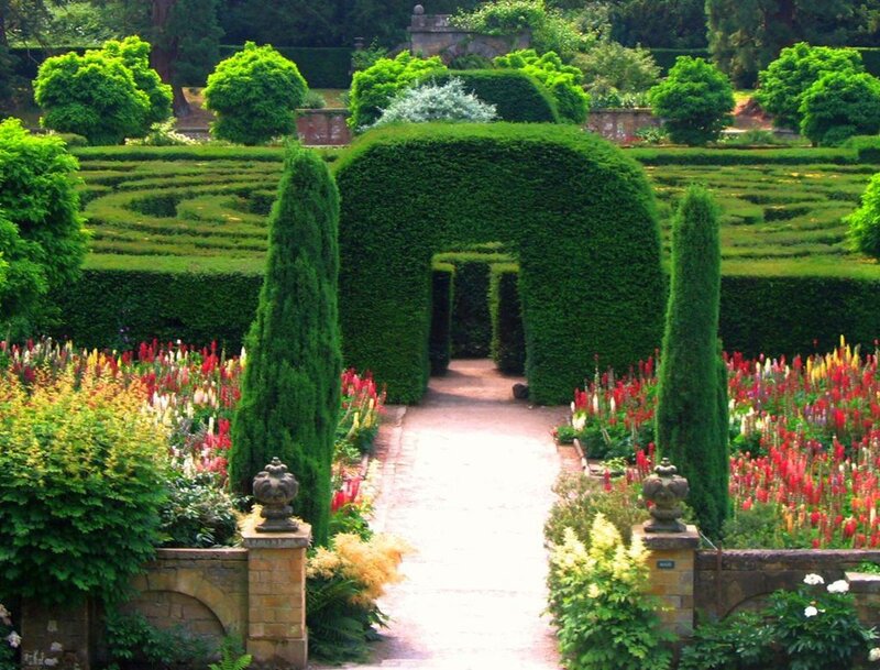 Hedge Maze Garden