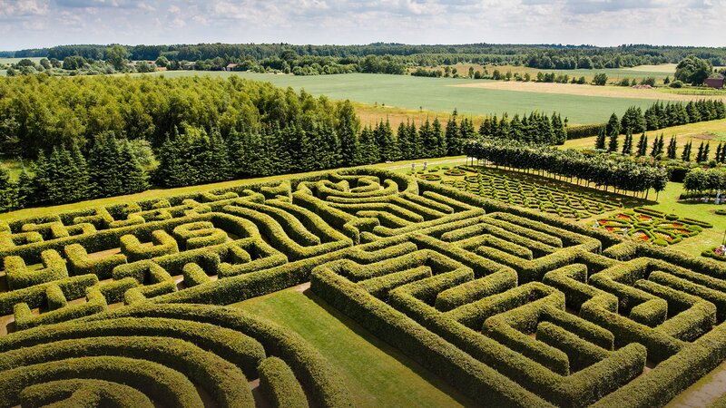 Hedge Maze in Garden