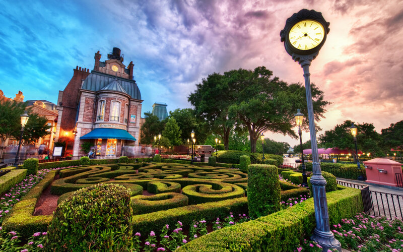 Hedge Maze in Park