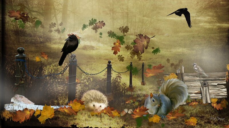 Hedgehog and Squirrel in Forest