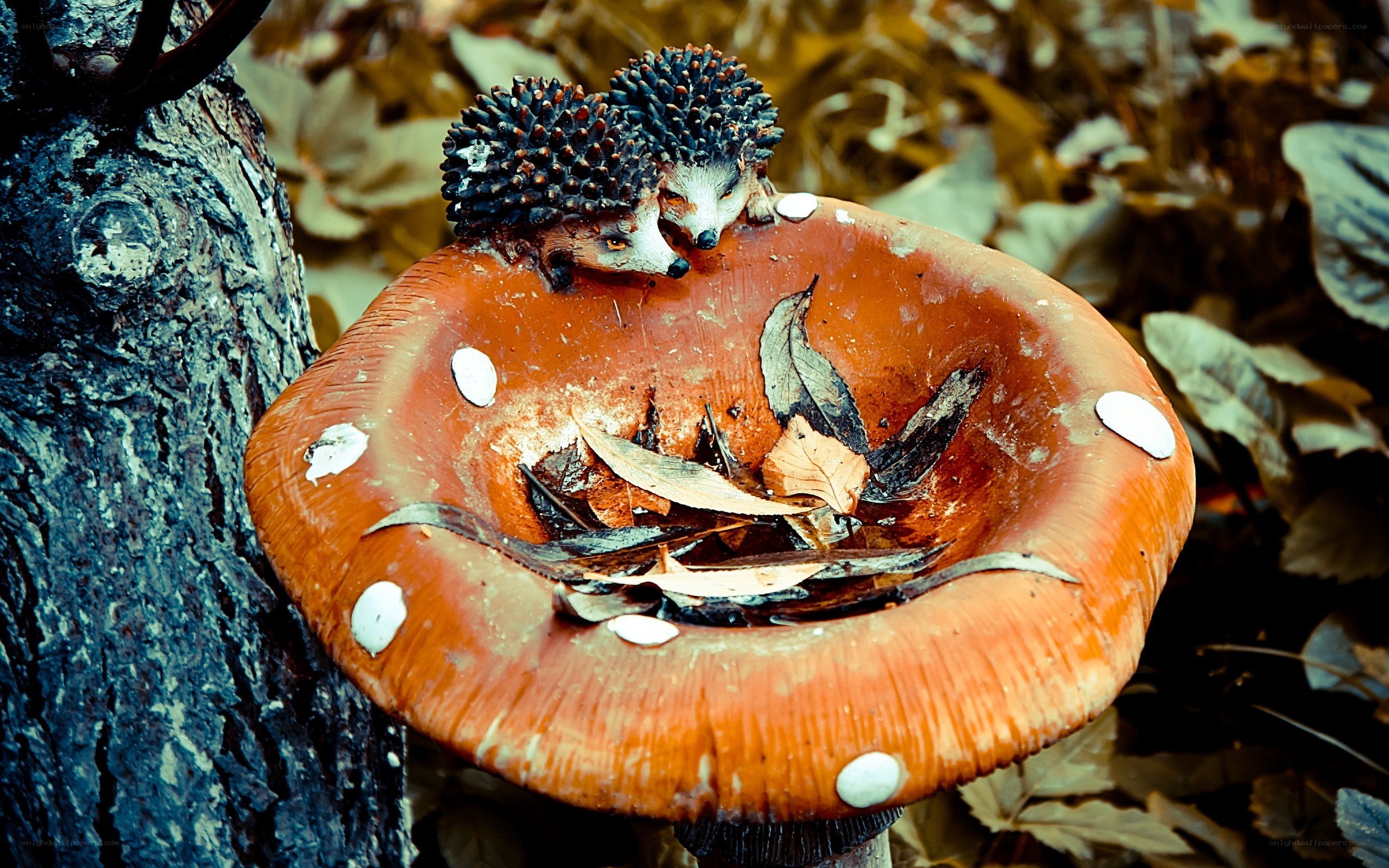 Hedgehog bird bath sculpture