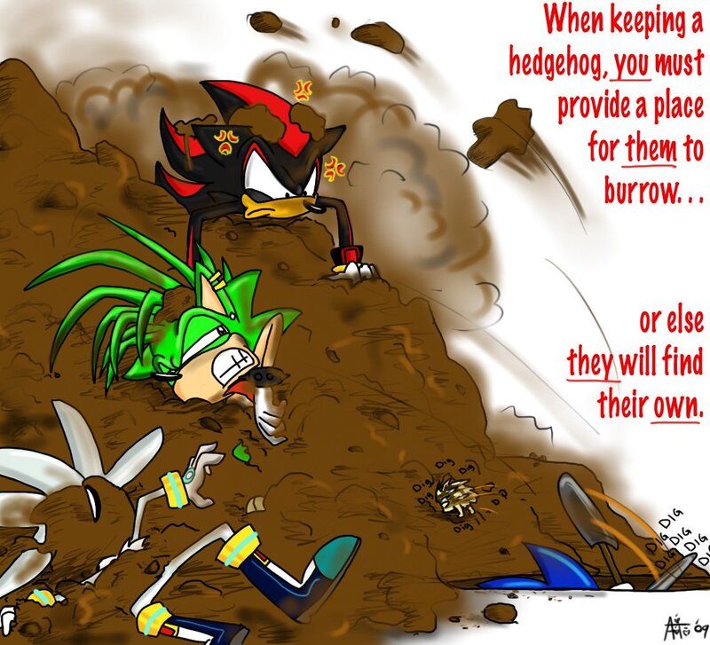 Hedgehog Characters Digging