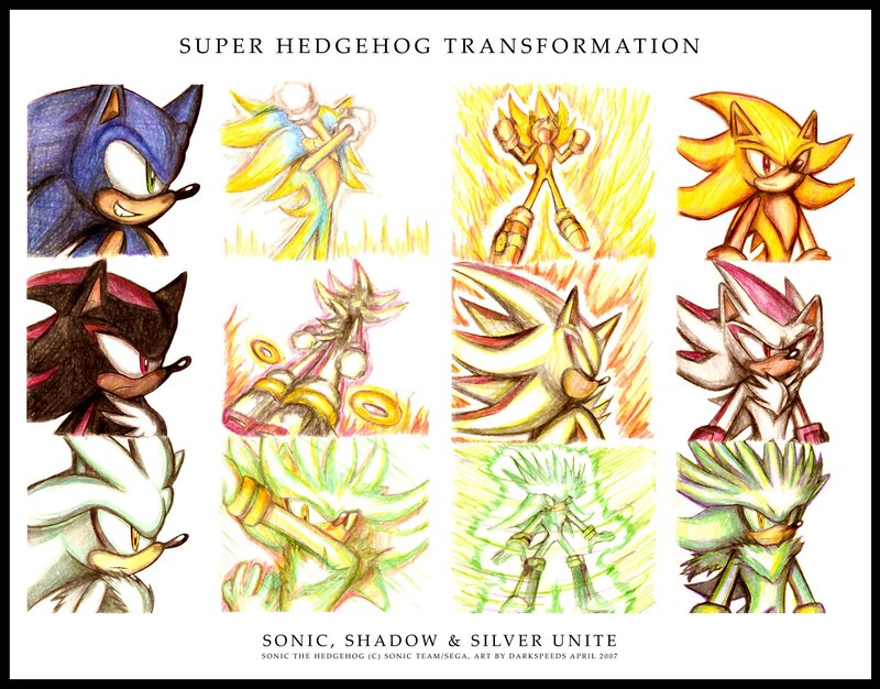 Hedgehog Characters in Transformation