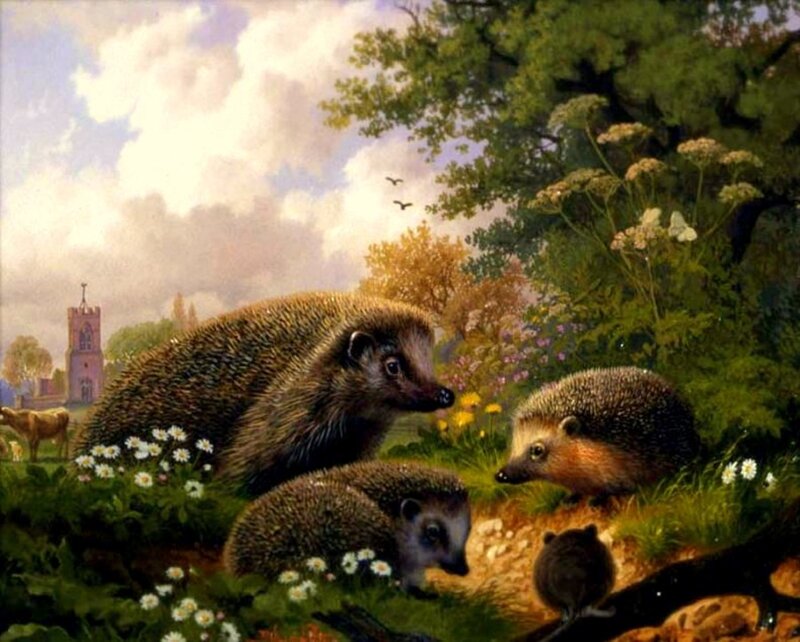 Hedgehog Family in Garden