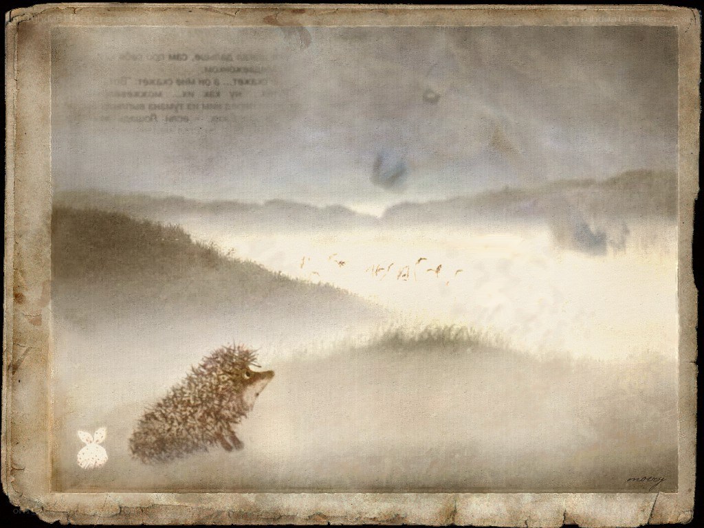 Hedgehog in a misty landscape