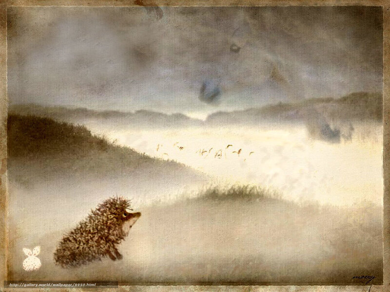 Hedgehog in a misty landscape