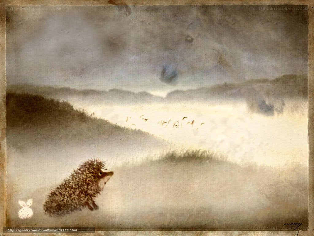 Hedgehog in a misty landscape