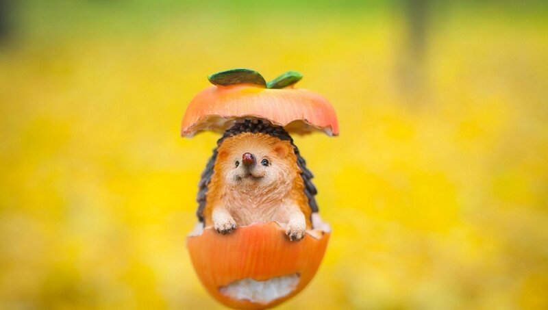 Hedgehog in Apple