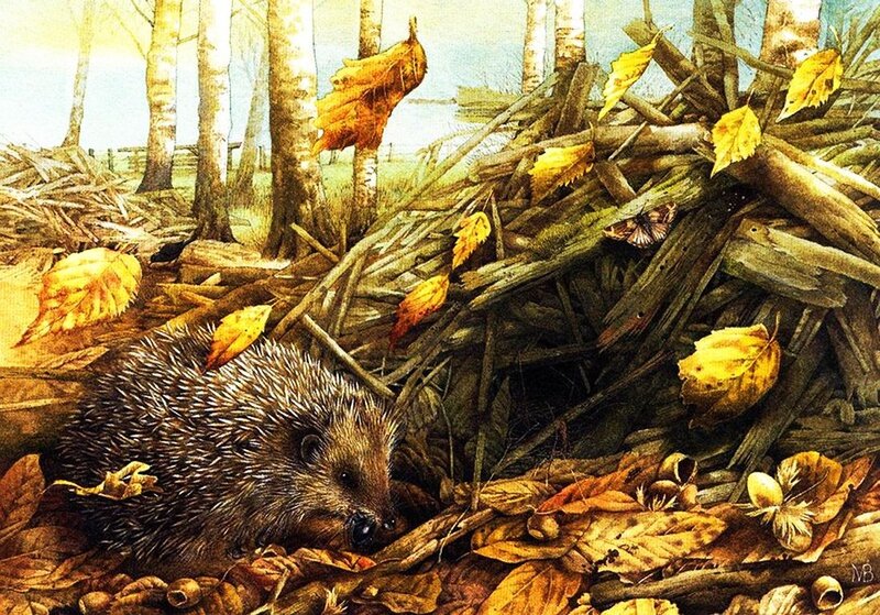 Hedgehog in Autumn Leaves — Brown, Serene