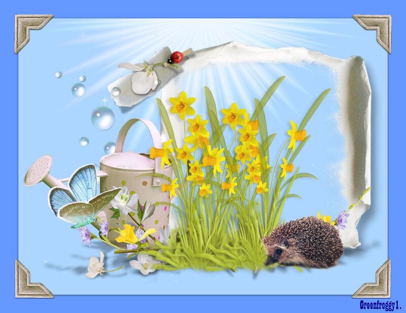 Hedgehog in Flowers