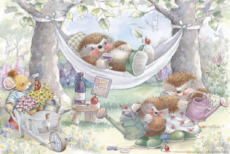Hedgehog in Hammock