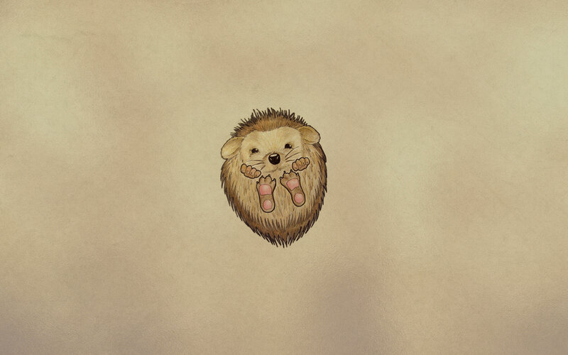 Hedgehog on Its Back