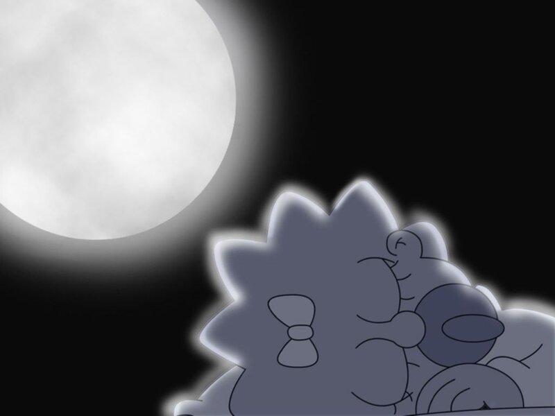 Hedgehog under the moon