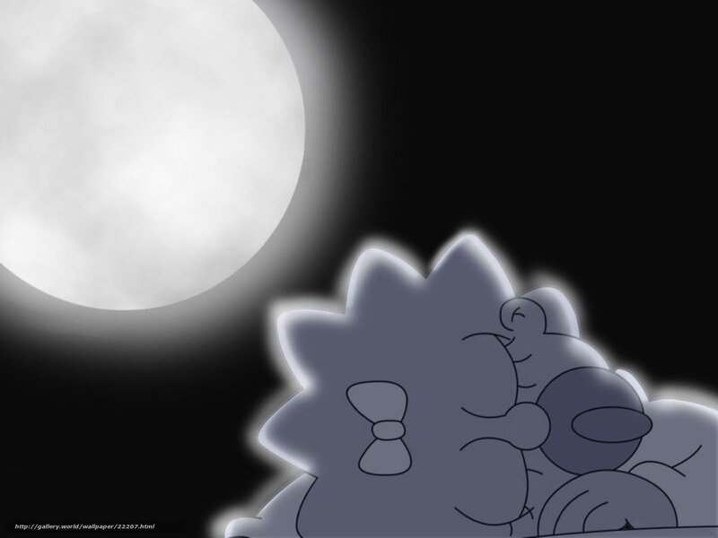 Hedgehog under the moon