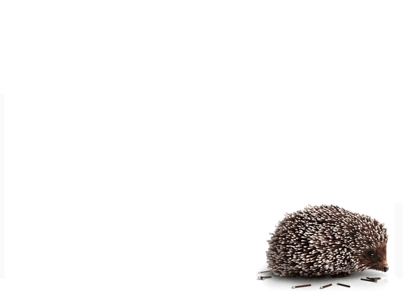 Hedgehog with matchsticks