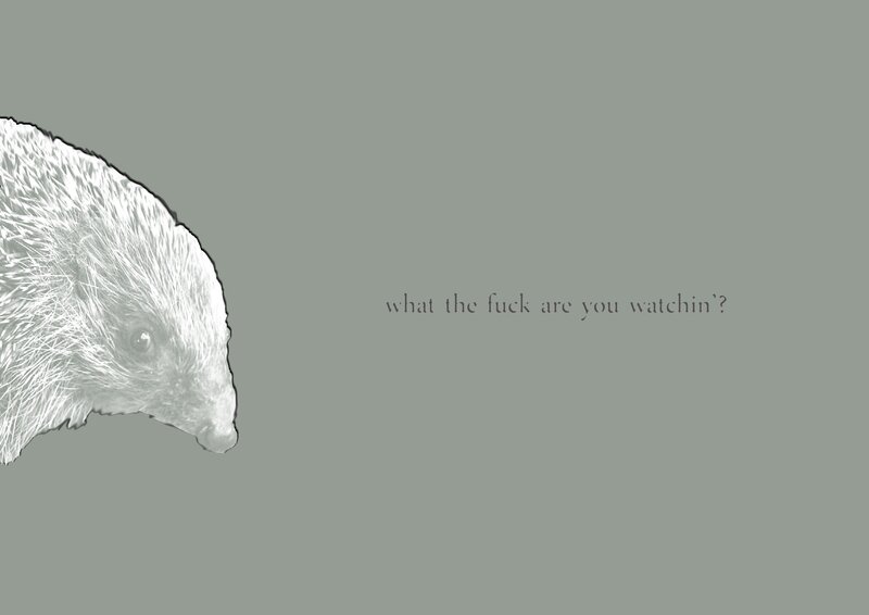 hedgehog with text