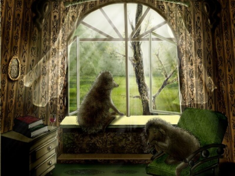 Hedgehogs by the window