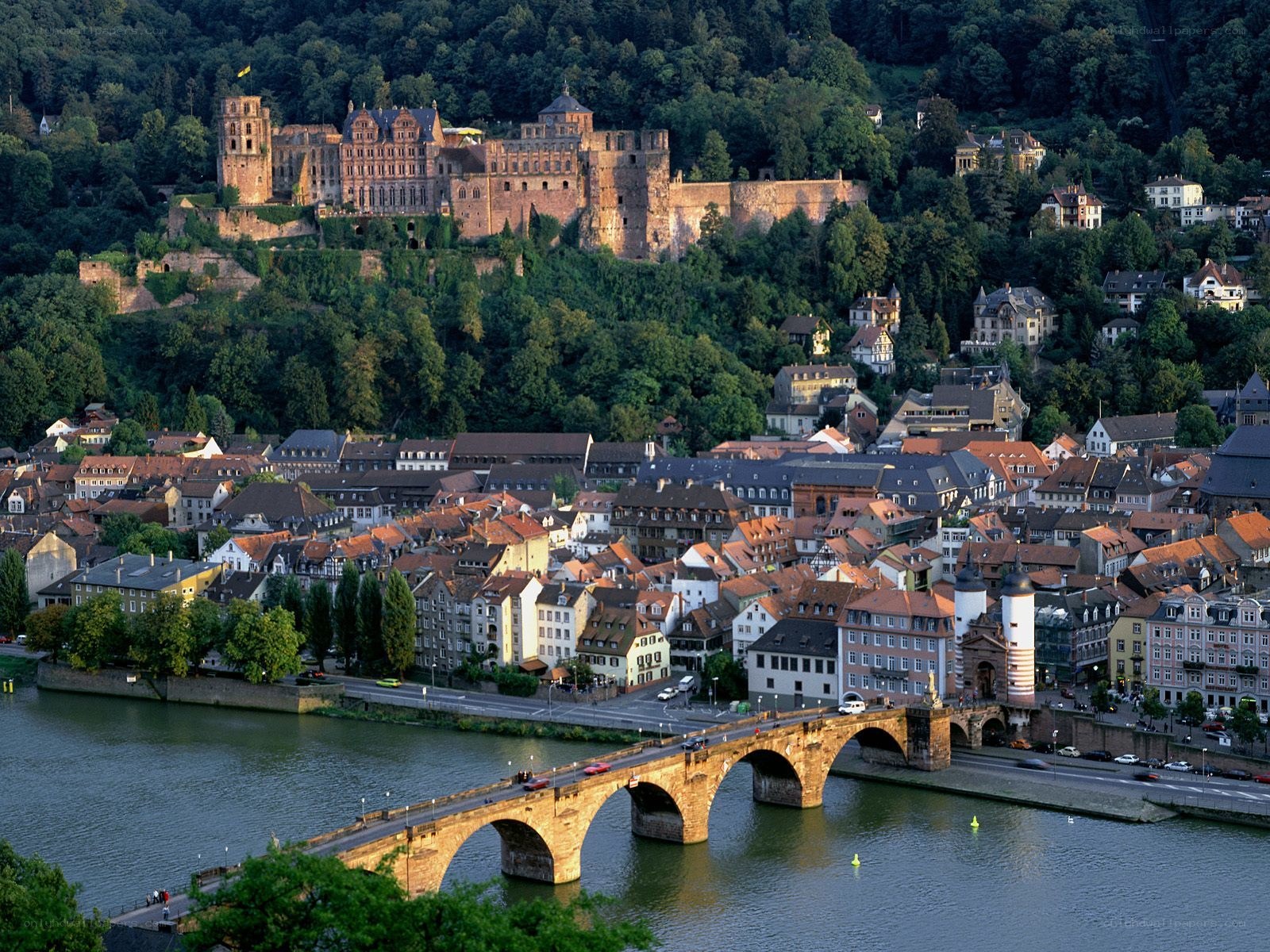 Heidelberg Castle and Old Town