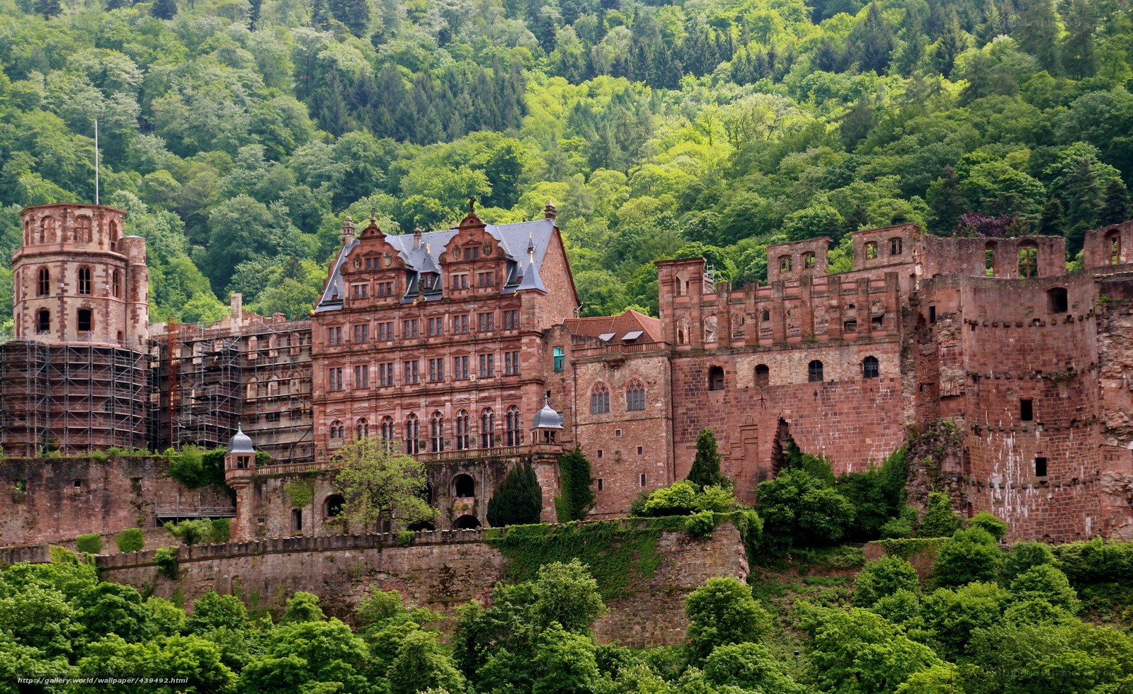 Heidelberg Castle in Germany